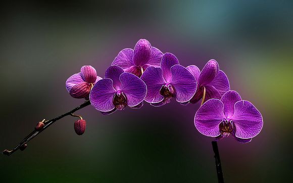 苹果手机刷机最快方法