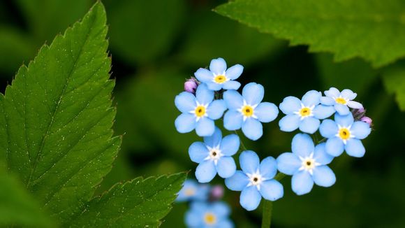 电脑开机启动项设置