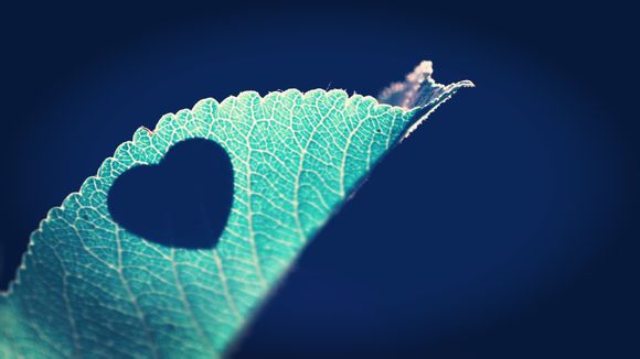 电脑怎么备份系统