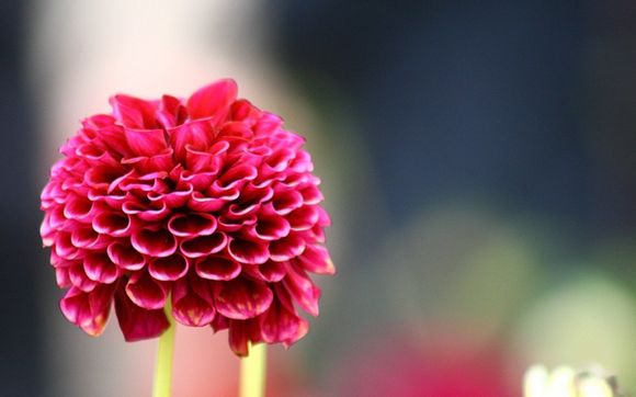 赛尔号卡鲁耶克怎么融合