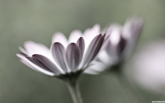 怪怪水族馆怎么调成中文