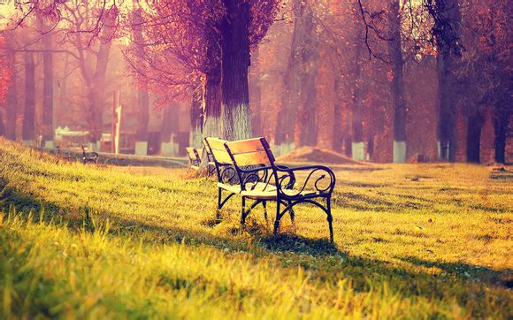 德玛出什么装备无敌了