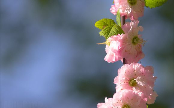 win7安装后如何安装驱动