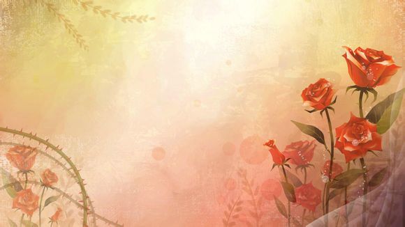 手机放车里哪里好