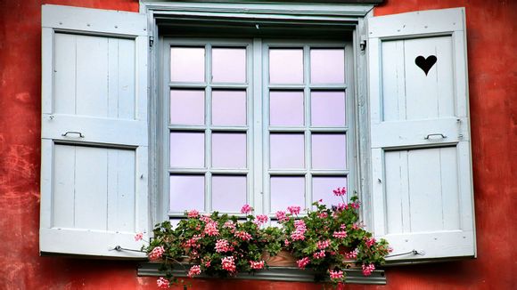 手机进水黑屏是什么原因