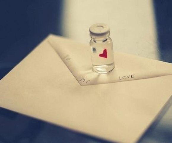 灵芝年份如何鉴别